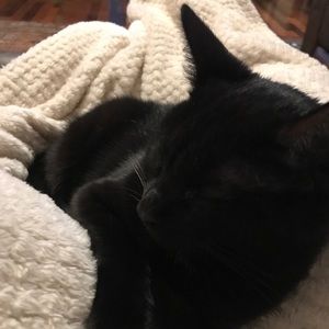 Meet your Posher, Maggie